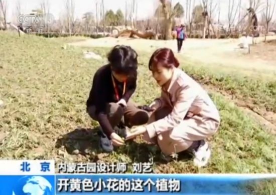 【魅力世園會】內蒙古園：壯美的北疆畫卷