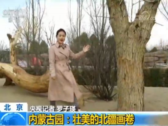 【魅力世園會】內蒙古園：壯美的北疆畫卷