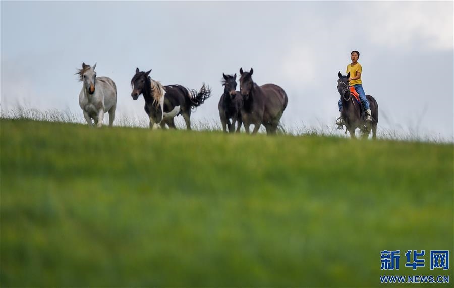 (特別的暑期生活·圖片故事)(5)草原女孩錫林花的暑期“歡樂(lè)時(shí)光”