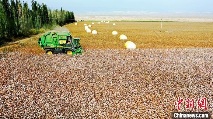 近年來，當(dāng)?shù)孛藁ǚN植戶的生產(chǎn)生活發(fā)生了翻天覆地的變化。　董霜 攝