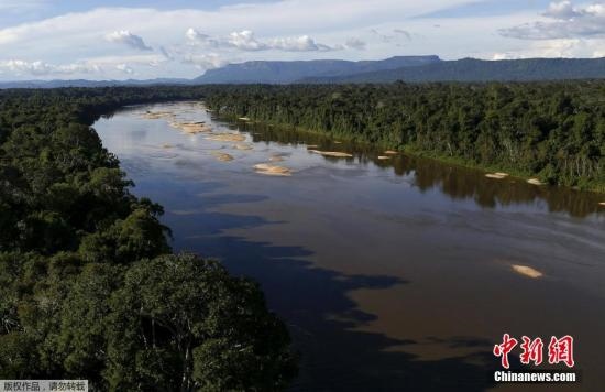 資料圖：亞馬孫雨林內(nèi)的河流。