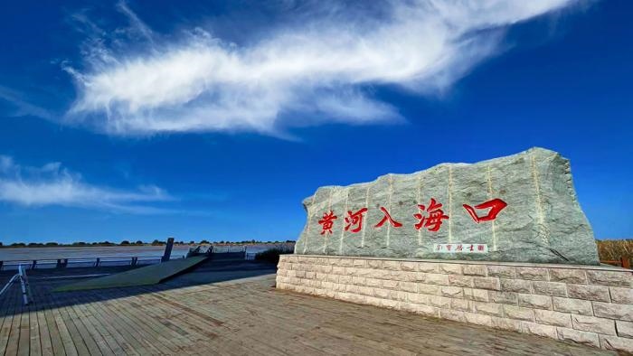 △黃河入?？谖挥谏綎|東營市墾利區(qū)。(總臺(tái)央視記者彭漢明拍攝)