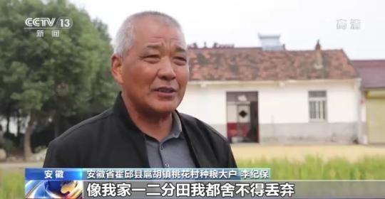 十八連豐！秋收近九成 我國糧食產(chǎn)能穩(wěn)步提升