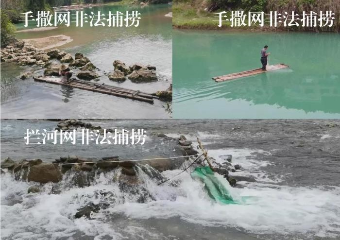 2021年9—10月，前期暗查發(fā)現(xiàn)，保護區(qū)核心區(qū)內非法捕撈行為十分猖獗