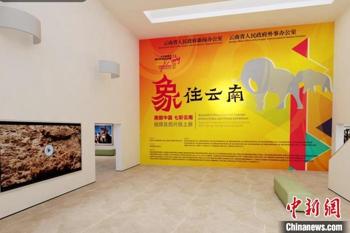 圖為“象”往云南——美麗中國 七彩云南視頻及圖片線上展截圖?！『h(yuǎn)航 攝