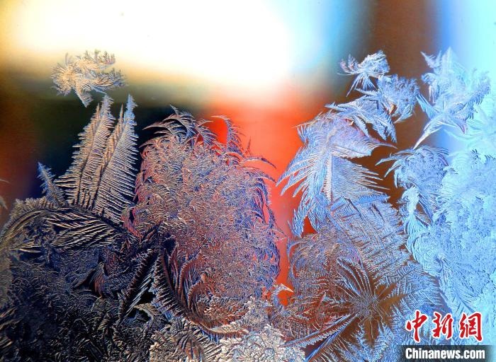 惟妙惟肖的冰窗花，似一幅風景畫?！O書程 攝