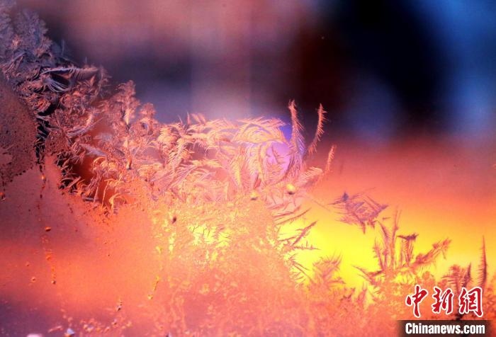 迎著光亮，冰窗花絢麗多姿?！O書程 攝