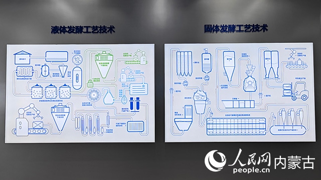 科拓生物工藝技術(shù)展示。人民網(wǎng)記者 張雪冬攝