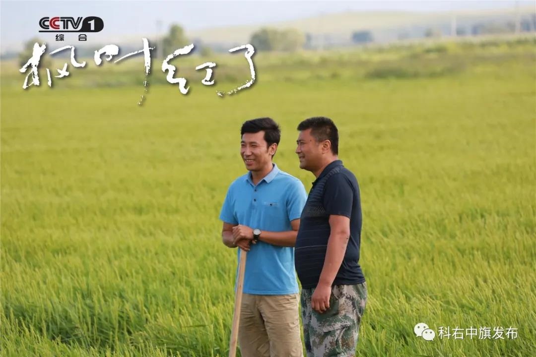 1596610584478460.jpg 微信圖片_20200805145614.jpg