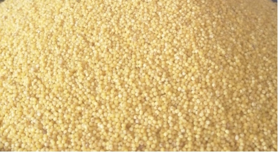 1648440688119352.png 黃合少鎮(zhèn)蘇計(jì)村小雜糧加工基地簡(jiǎn)介(4)(1)560.png