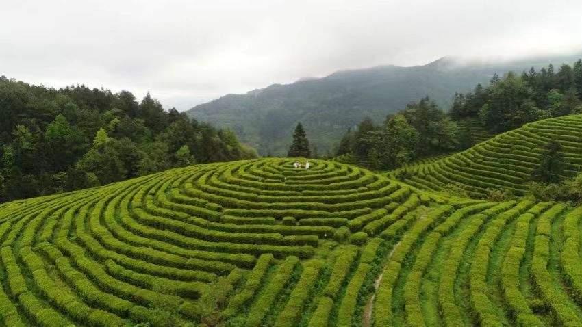 1690274479109907.jpg 微信圖片_20230717114649.jpg