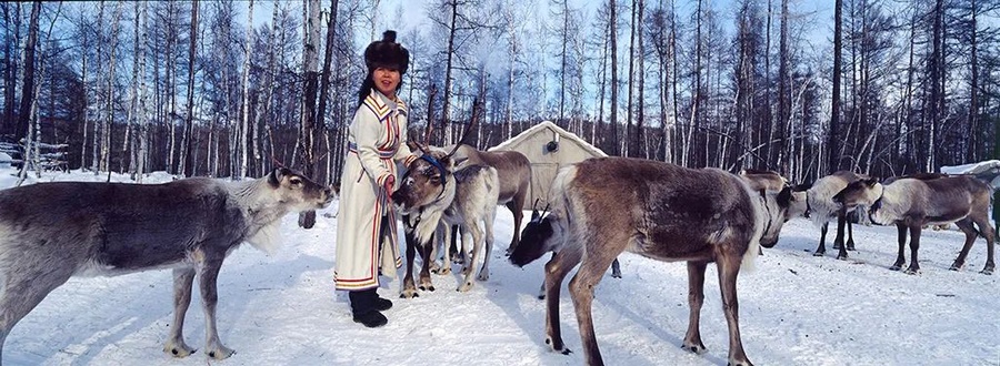 1703777111378593.png 圖片1.png