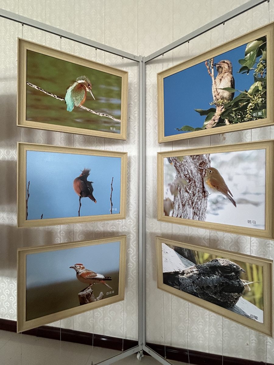 1711815578135679.jpeg WechatIMG1217.jpeg