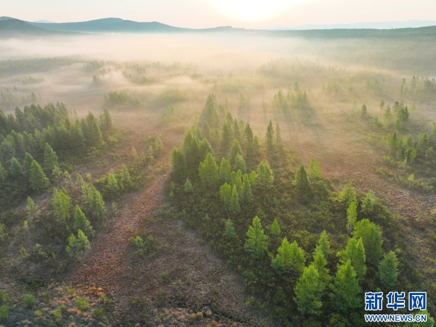 1718071588277124.jpg _K4I9674.JPG