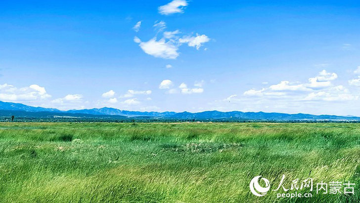 內(nèi)蒙古1.jpg