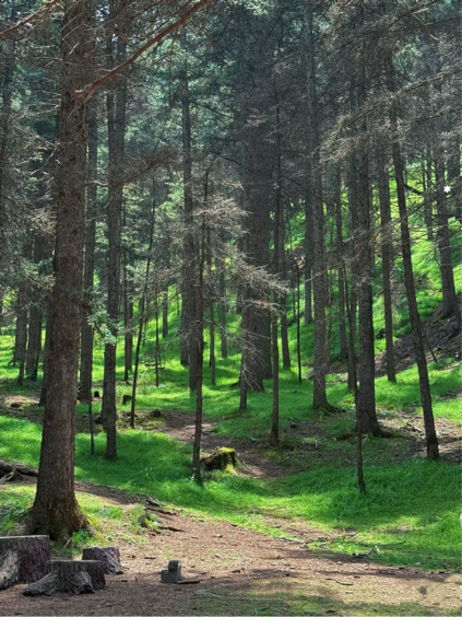 1753588025850781.png 阿拉善5.png