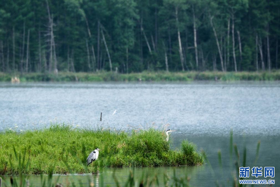 1753760387535229.jpg 202507288e7b878edf4443a883859788672d1fef_2025072840fd34676c234275b19a153ce6915a83.jpg