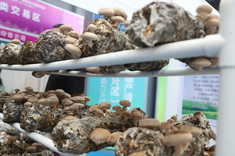 1757078228263225.jpg 圖片7.jpg