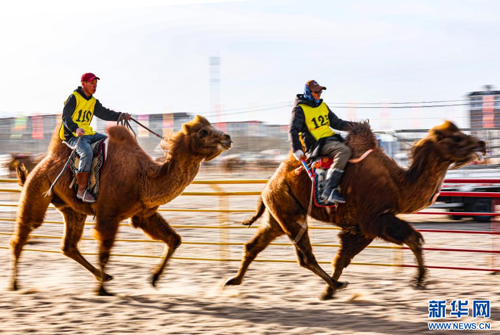 3月7日，賽駝手在6000米成年駱駝場(chǎng)地速度賽比賽中.jpg