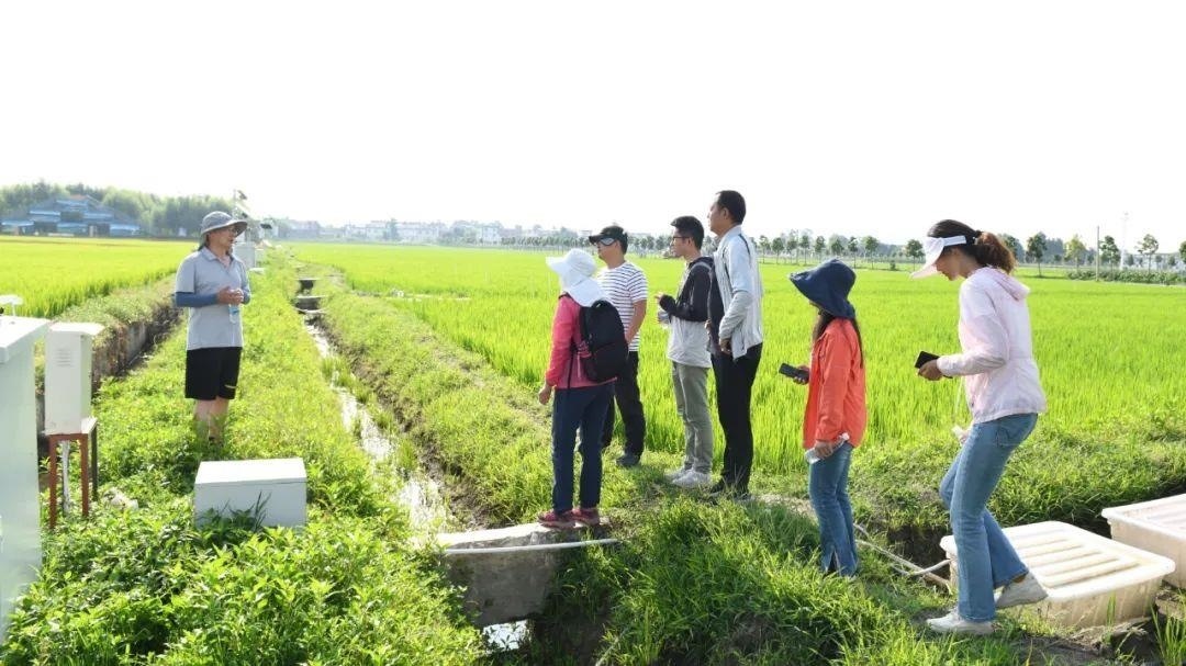 △云南大理古生村科技小院成員在田間調(diào)查。