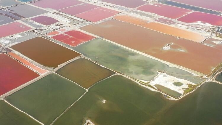 鑒往知來，跟著總書記學(xué)歷史丨走進(jìn)一座博物館，尋根五千年中華文明