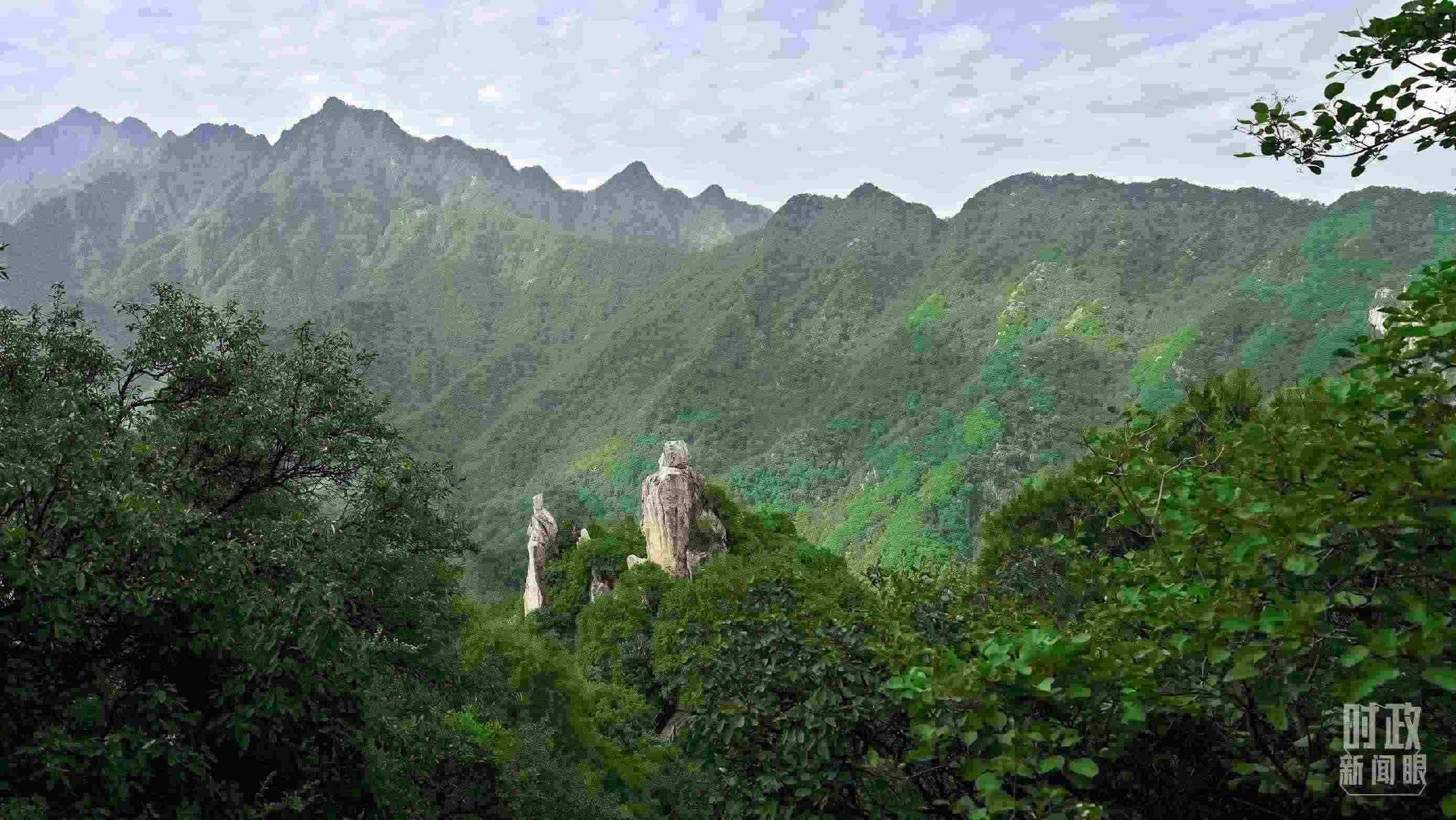 △秦嶺。（圖／視覺中國）