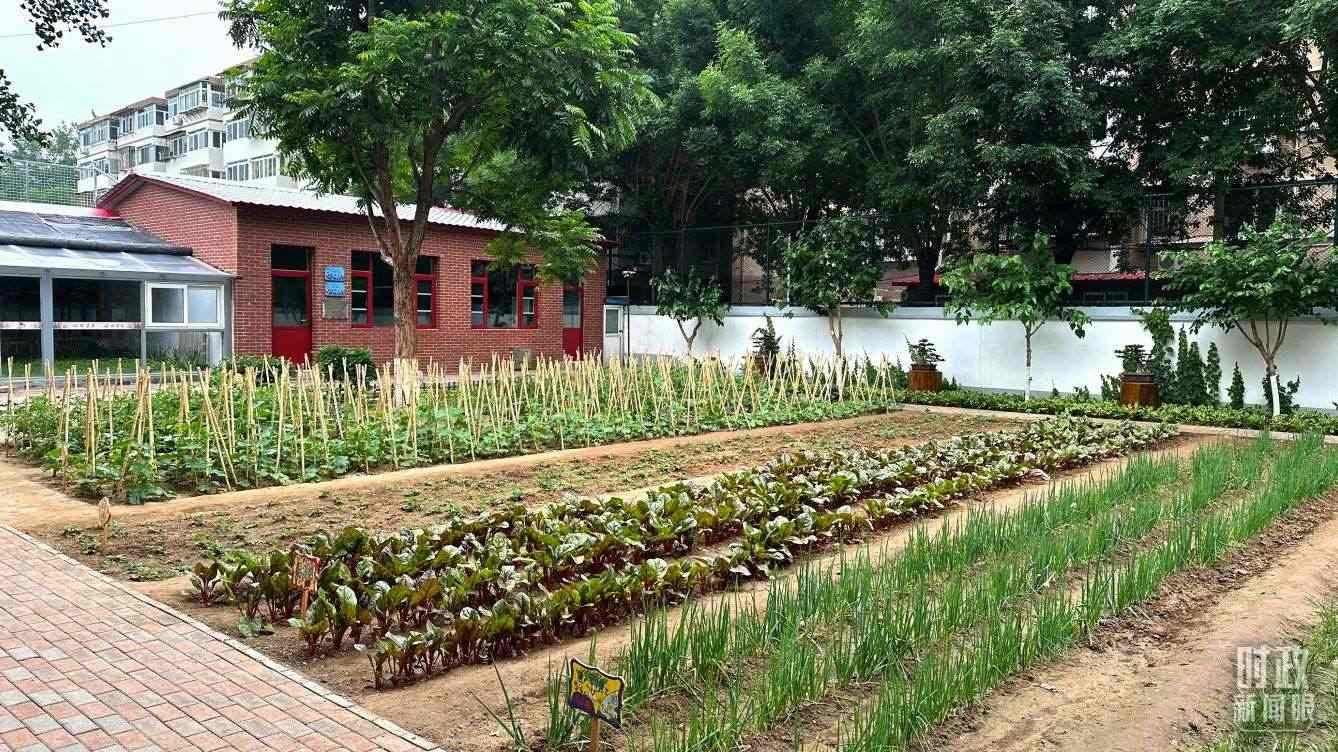 △學(xué)生農(nóng)場。（總臺央視記者趙化拍攝）