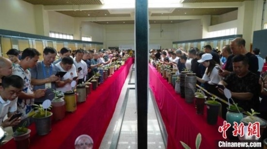 圖為活動現(xiàn)場。 云南省委臺辦供圖