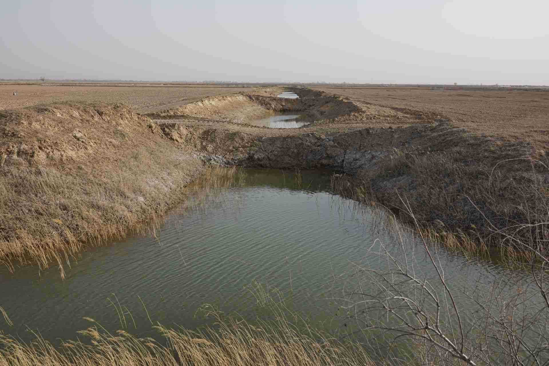 堵塞的排堿渠。 人民網(wǎng)記者 游天燚攝