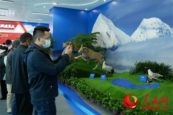 6月17日，觀眾正在觀展。人民網(wǎng) 韋衍行攝