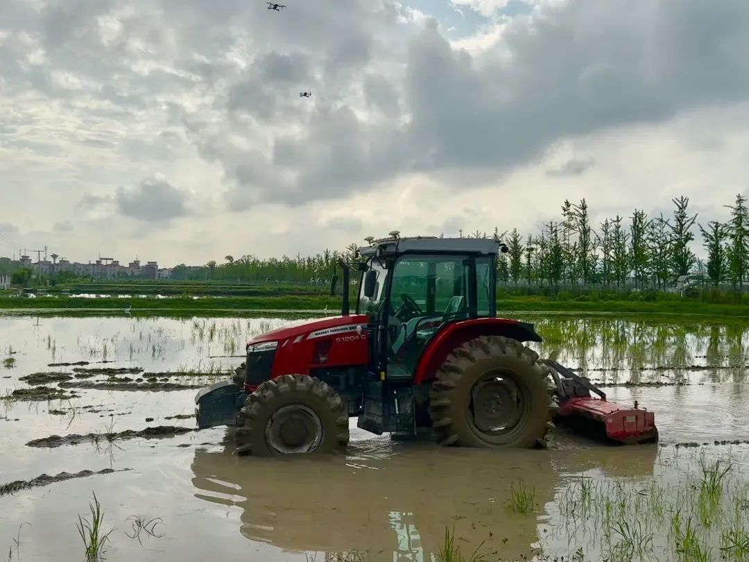 浙江省金華市東陽市城東街道寀盧村的一臺無人駕駛耕地機。靜玄 攝