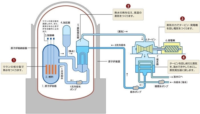 核電站運(yùn)作原理圖。通常的核電站排水未直接接觸核燃料。（圖片來(lái)源：日本北海道電力株式會(huì)社網(wǎng)站）