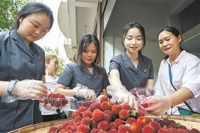 志愿者和村民一起將摘下的楊梅裝進食品盒里。