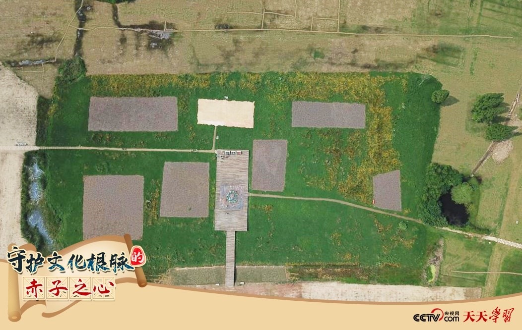 2019年6月23日無人機拍攝的良渚國家考古遺址公園的宮殿區(qū)。