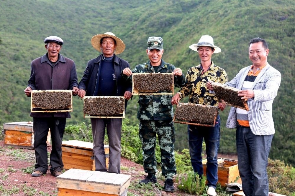 ↑武警四川總隊涼山支隊精準幫扶昭覺縣梭梭拉打村發(fā)展養(yǎng)蜂產(chǎn)業(yè)，總隊駐村扶貧干部布哈（中）和村民一同展示豐收成果（2019年6月12日攝）。新華社發(fā)（楊劍 攝）