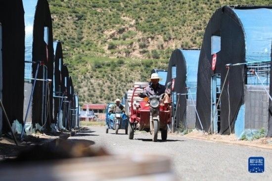 7月29日，農(nóng)戶在卓尼縣納浪鎮(zhèn)納浪村黑木耳種植基地勞作。