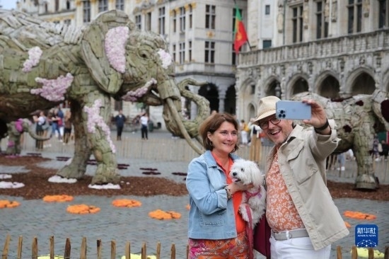 8月11日，觀眾在比利時布魯塞爾“鮮花時光”展覽上拍照。新華社記者 趙丁喆攝