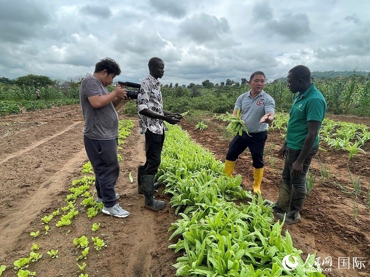 人民網(wǎng)記者走進(jìn)尼日利亞農(nóng)業(yè)技術(shù)示范中心。人民網(wǎng)記者 趙艷紅攝