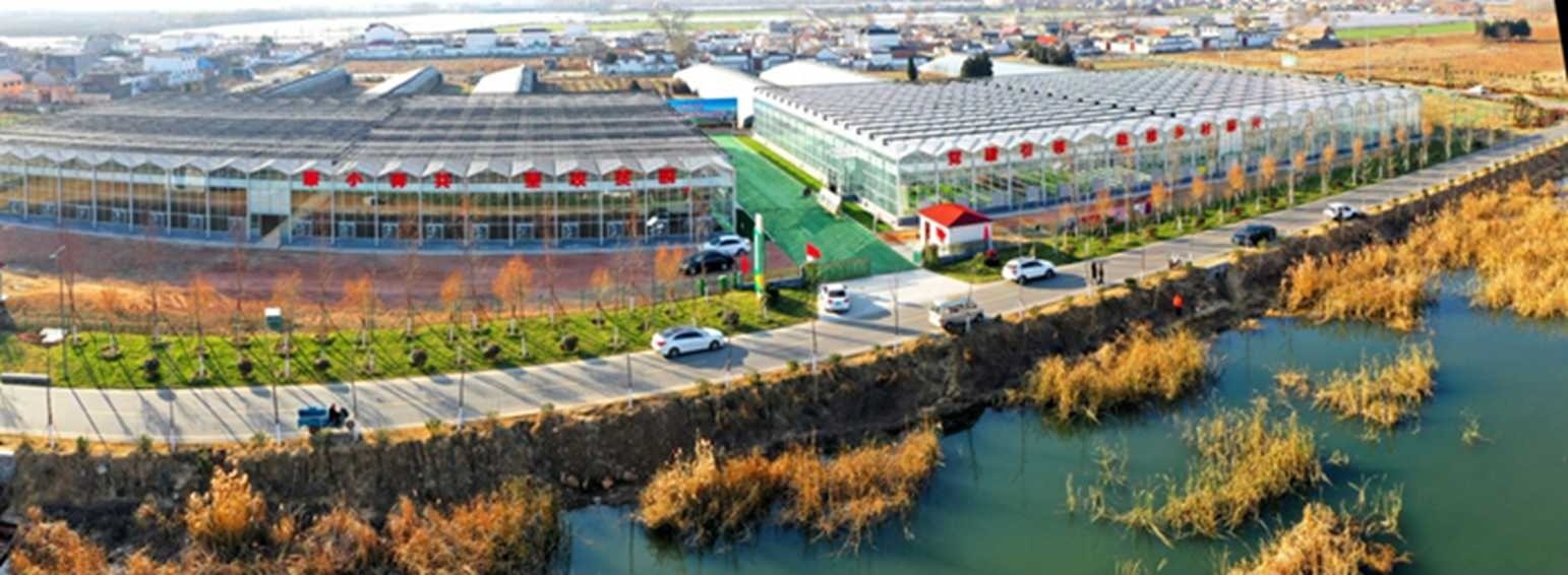 白樓灣三產(chǎn)融合發(fā)展。宋道森攝