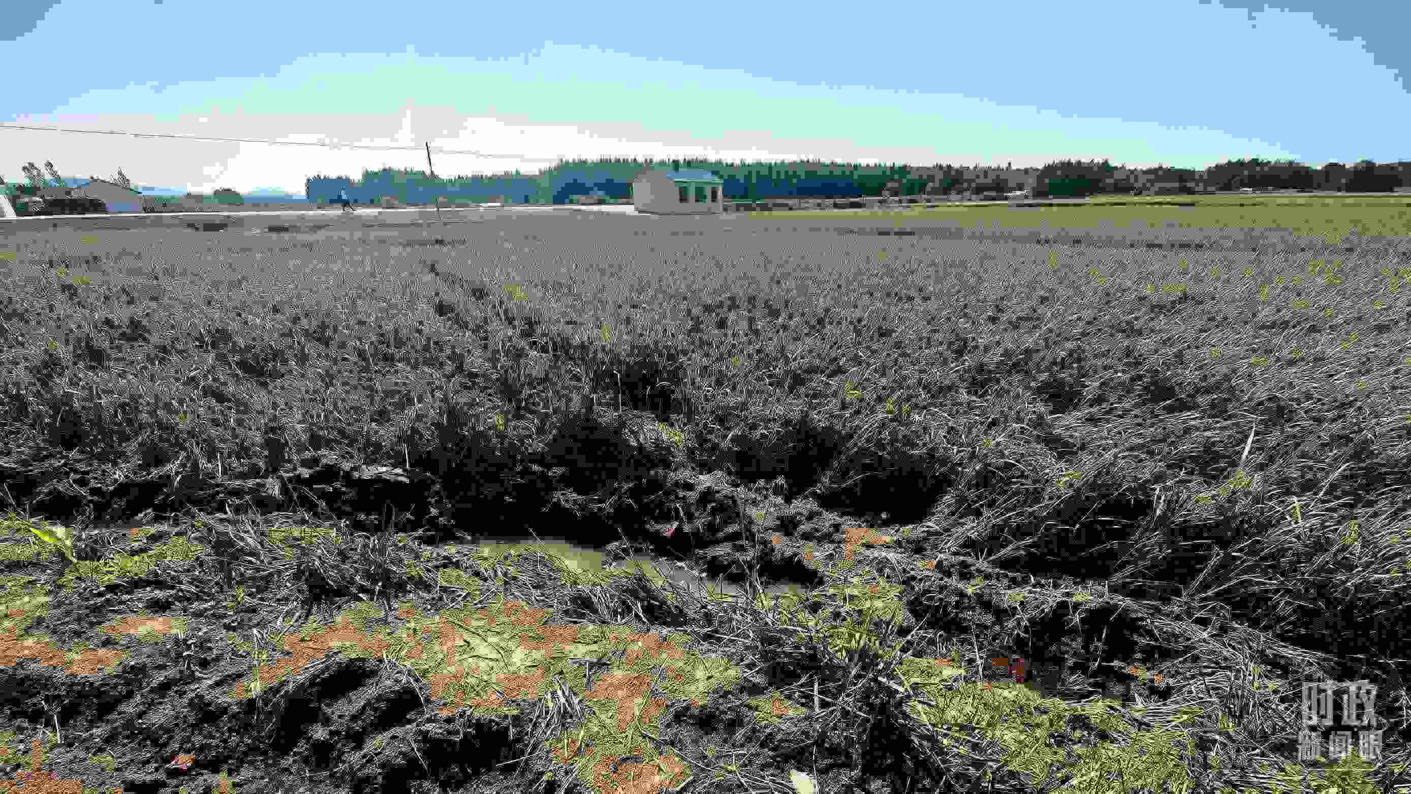 △圖為龍王廟村在洪災(zāi)中受損的農(nóng)田。（總臺(tái)央視記者史偉拍攝）