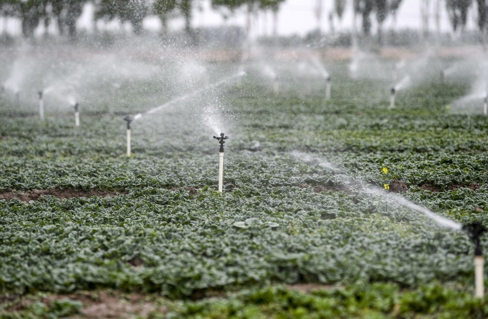2023年5月25日，在寧夏銀川市永寧縣望洪鎮(zhèn)宋澄村冷涼蔬菜種植基地，小型噴灌節(jié)水設(shè)備在進行噴灌作業(yè)。新華社記者 馮開華 攝
