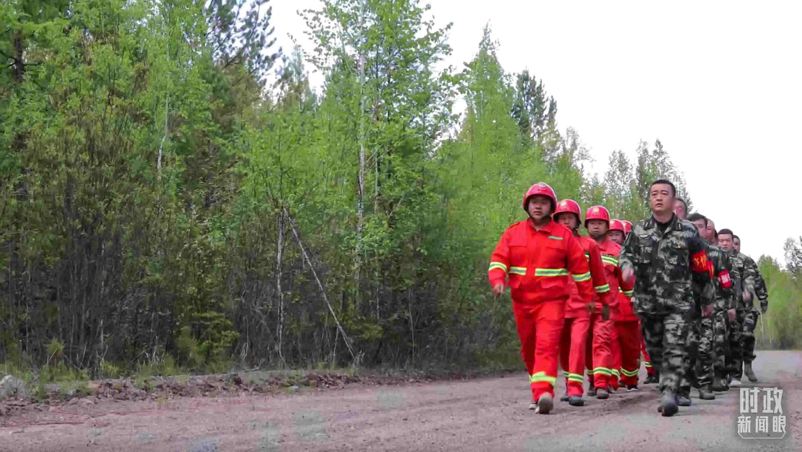 △林場里的森林巡護。
