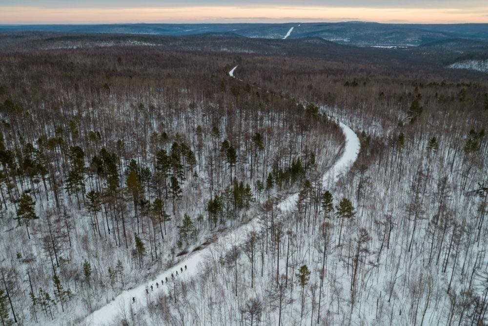 △2023年1月，漠河林場數(shù)十名職工自發(fā)組成的森林撫育隊伍，在人跡罕至的山林中作業(yè)。