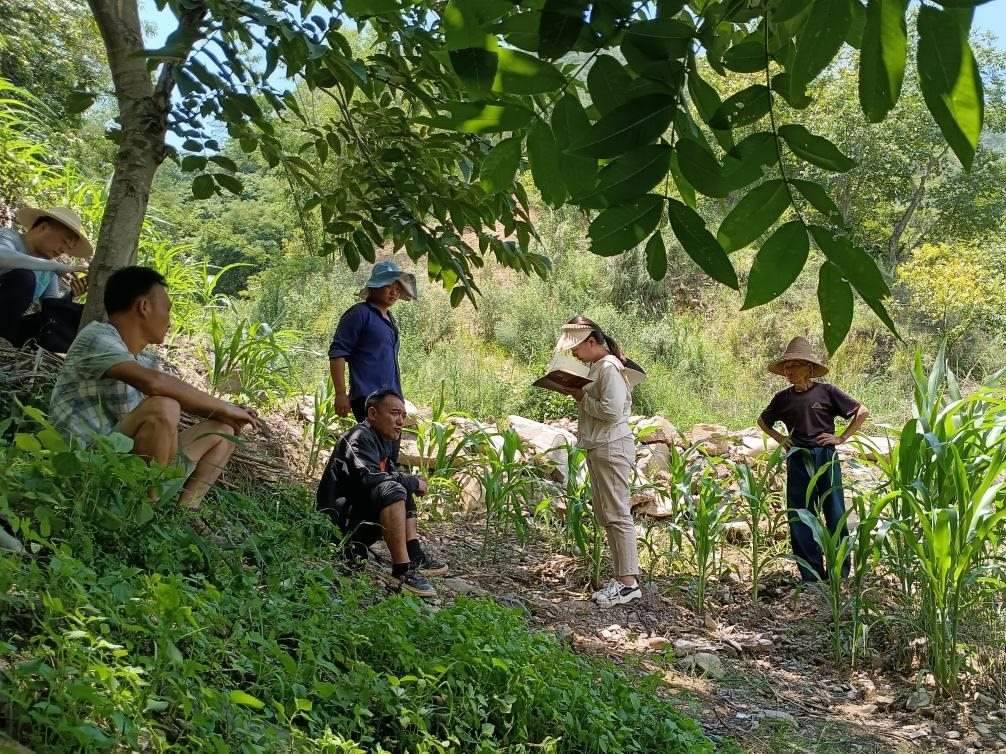 2023年7月18日，兩家村民發(fā)生土地方面的糾紛，李江女（右二）在記錄情況。受訪者供圖