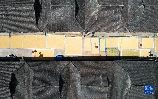 9月16日，在貴州省黔東南苗族侗族自治州從江縣加勉鄉(xiāng)污扣村，村民在晾曬稻谷（無人機(jī)照片）。