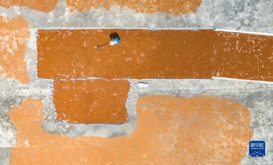 9月16日，農(nóng)民在貴州省安順市西秀區(qū)大西橋鎮(zhèn)吉昌村晾曬高粱（無人機(jī)照片）。