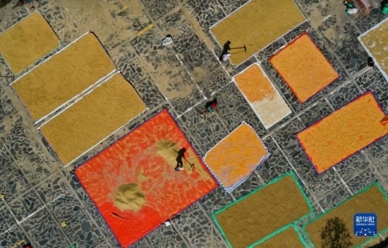 9月16日，貴州省黔東南苗族侗族自治州丹寨縣南皋鄉(xiāng)石橋村村民在晾曬農(nóng)作物（無人機(jī)照片）。