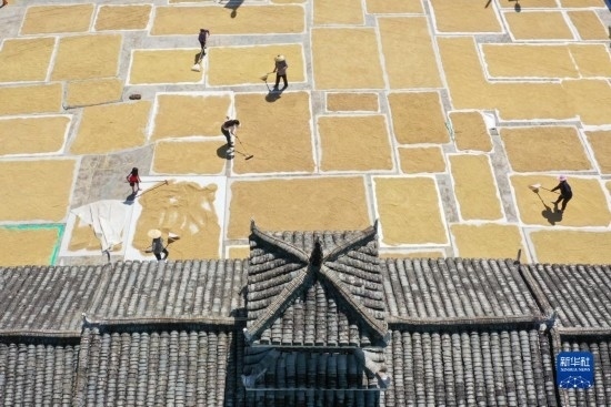 9月16日，村民在貴州省黔東南苗族侗族自治州從江縣剛邊壯族鄉(xiāng)三聯(lián)村晾曬稻谷（無人機(jī)照片）。