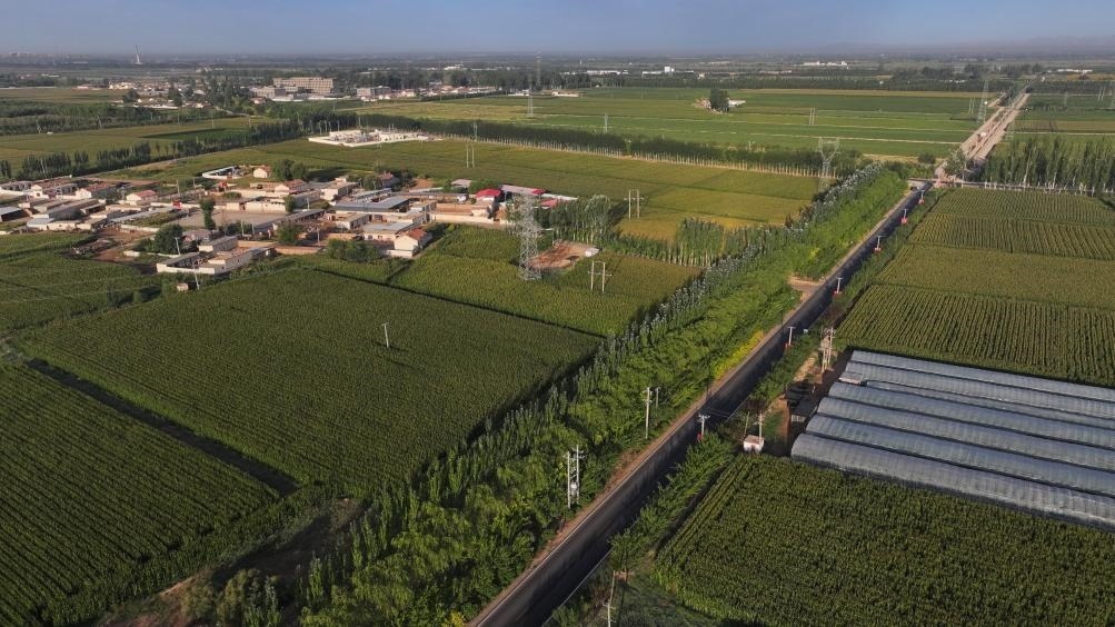 東興村周邊建起防護(hù)林網(wǎng)（無(wú)人機(jī)照片，2023年9月12日攝）。新華社記者李云平 攝