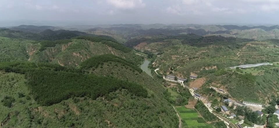 黃土溝壑中的高西溝村滿眼綠色（無(wú)人機(jī)照片，2023年7月26日）。新華社記者陳昌奇 攝